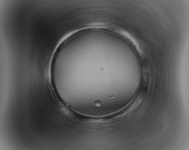 X0000087701328200705111356