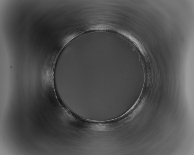 X0000087701329200705111356