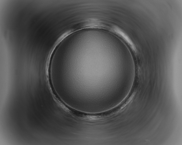 X0000087701330200705111356