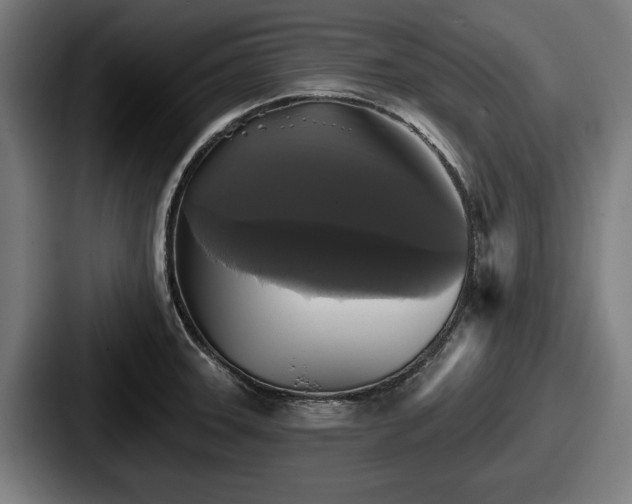 X0000087701331200705111356