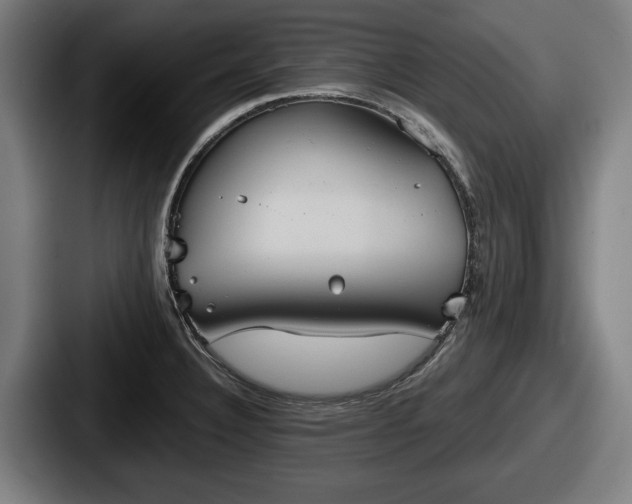 X0000087701332200705111356