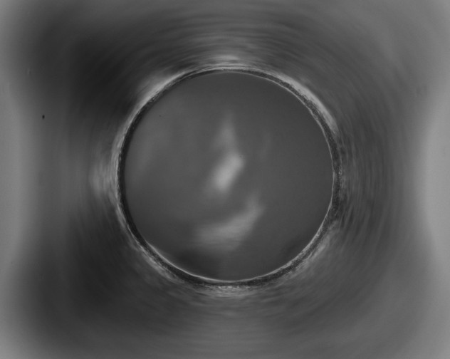 X0000087701333200705111356