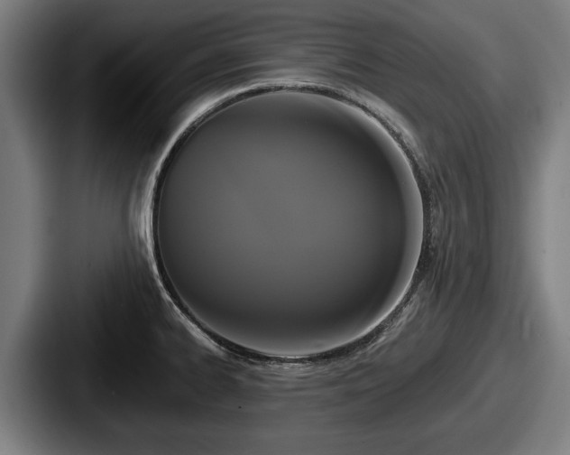 X0000087701334200705111356