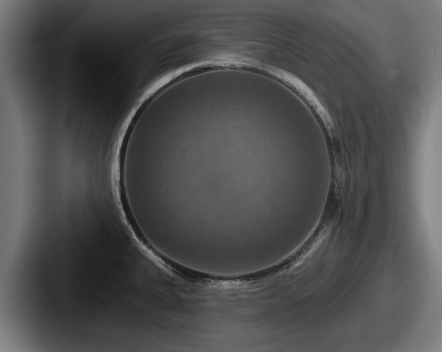 X0000087701335200705111356