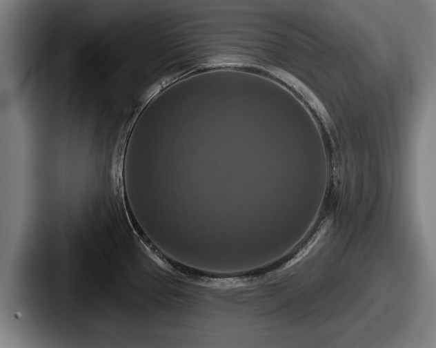 X0000087701337200705111356