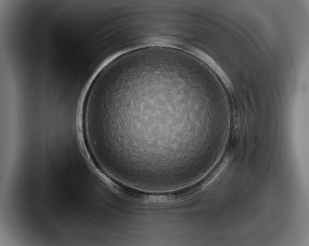 X0000087701339200705111356