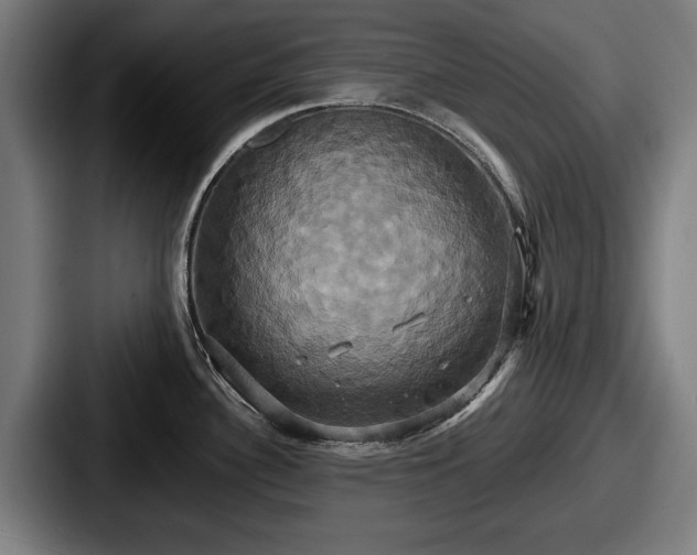 X0000087701340200705111356