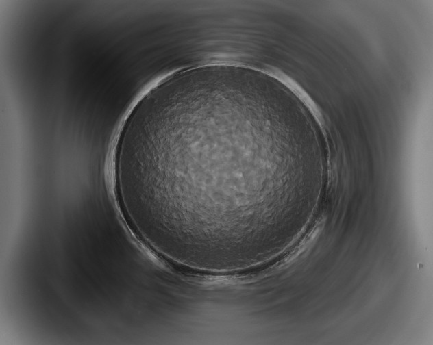 X0000087701341200705111356