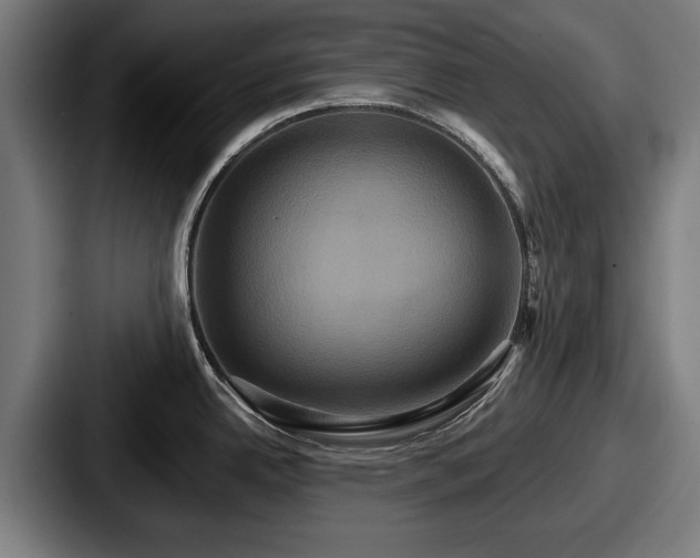 X0000087701342200705111356