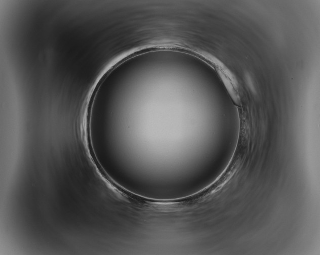 X0000087701343200705111356