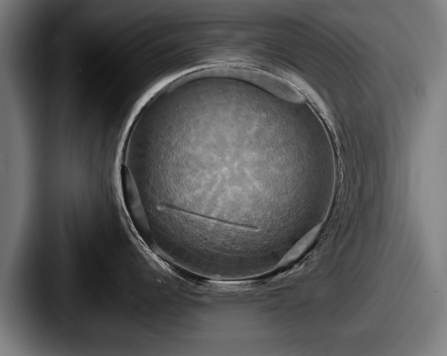 X0000087701344200705111356