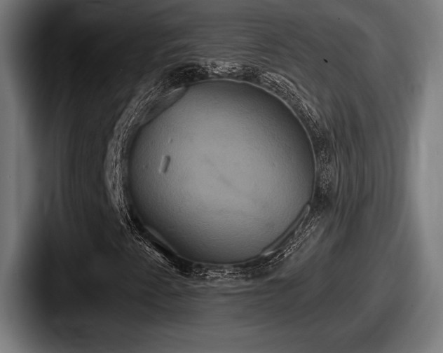 X0000087701345200705111355