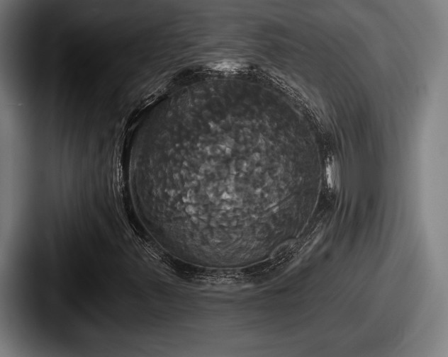 X0000087701347200705111355