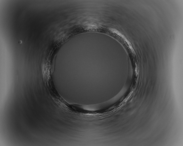 X0000087701348200705111355