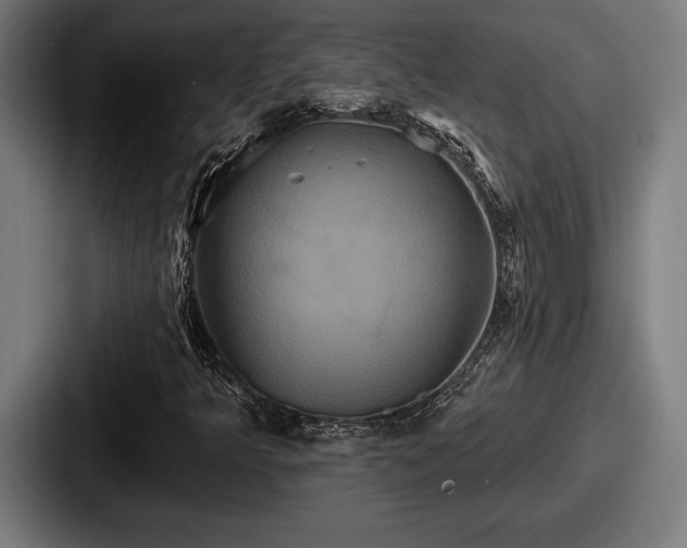 X0000087701349200705111355