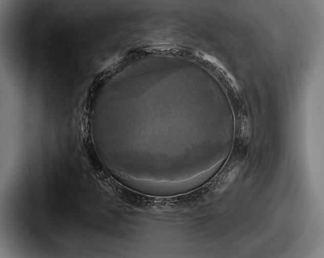 X0000087701350200705111355