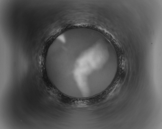 X0000087701351200705111355