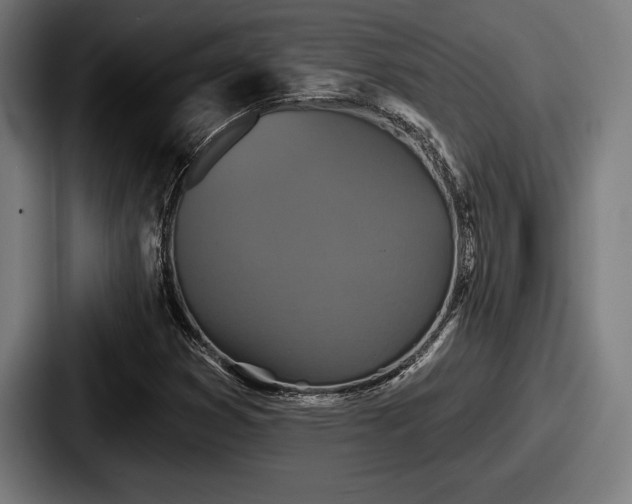 X0000087701353200705111355