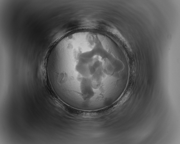 X0000087701354200705111355