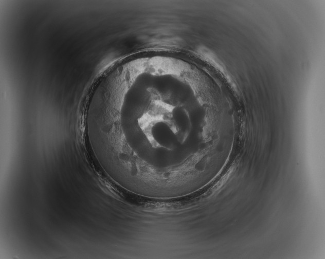 X0000087701355200705111355