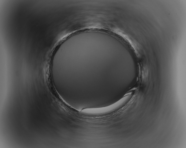 X0000087701359200705111355