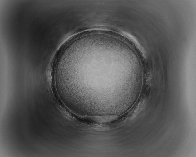 X0000087701360200705111355