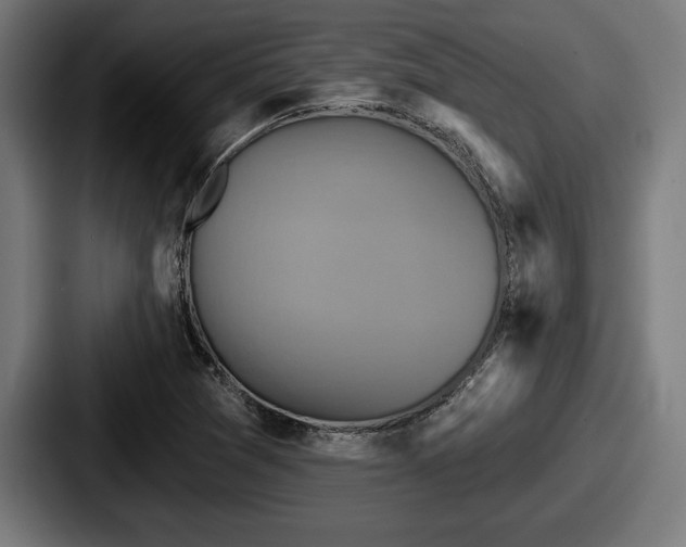 X0000087701361200705111355