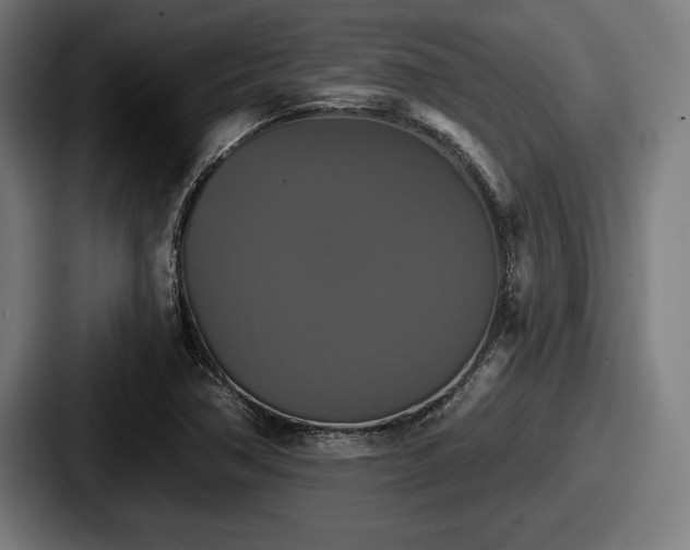 X0000087701362200705111355