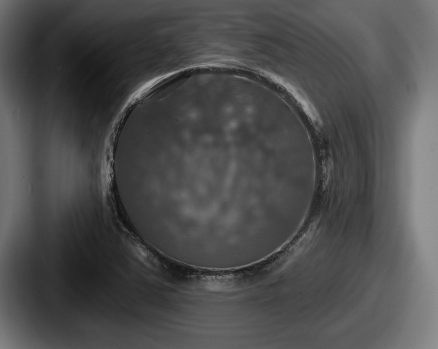 X0000087701363200705111355