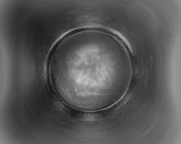 X0000087701364200705111355