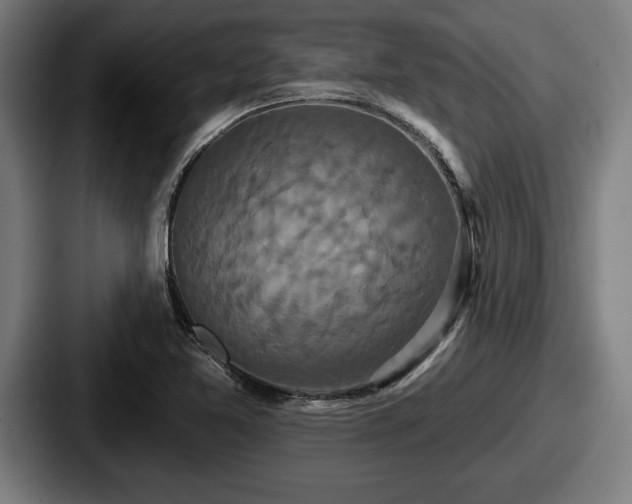 X0000087701365200705111355