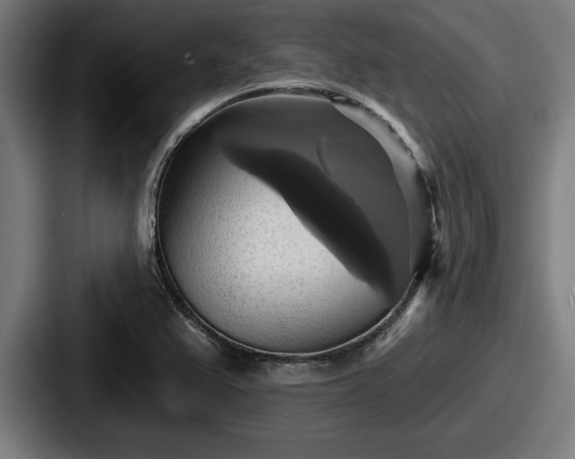 X0000087701367200705111355