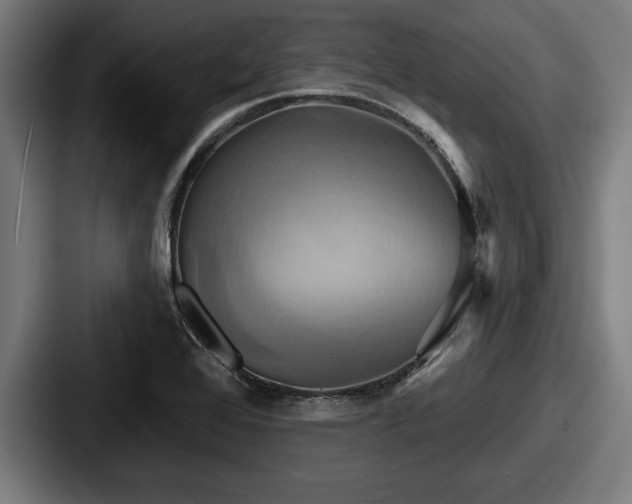 X0000087701368200705111355