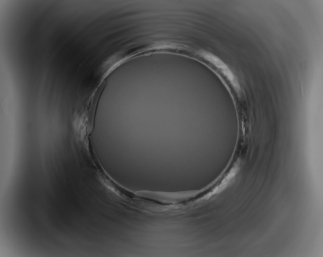 X0000087701369200705111355