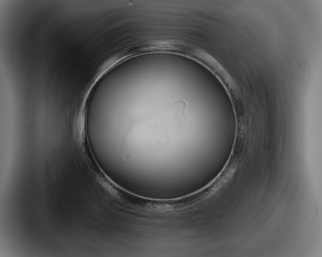 X0000087701370200705111355