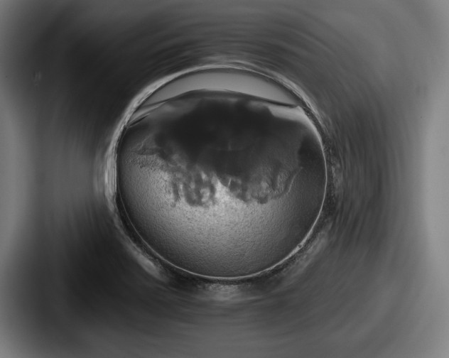 X0000087701371200705111355