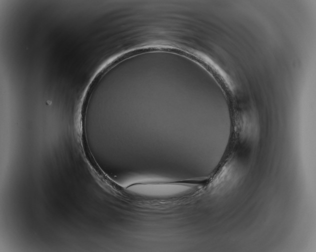 X0000087701372200705111355