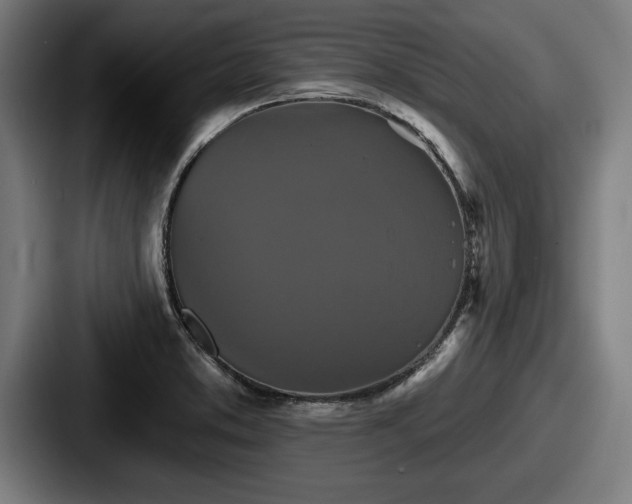 X0000087701373200705111355
