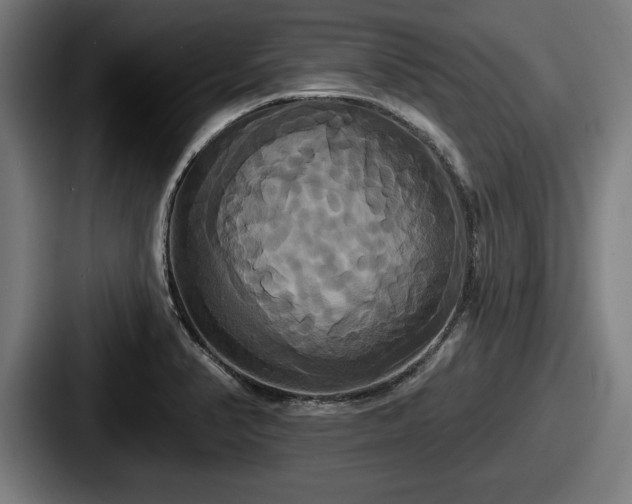 X0000087701374200705111355
