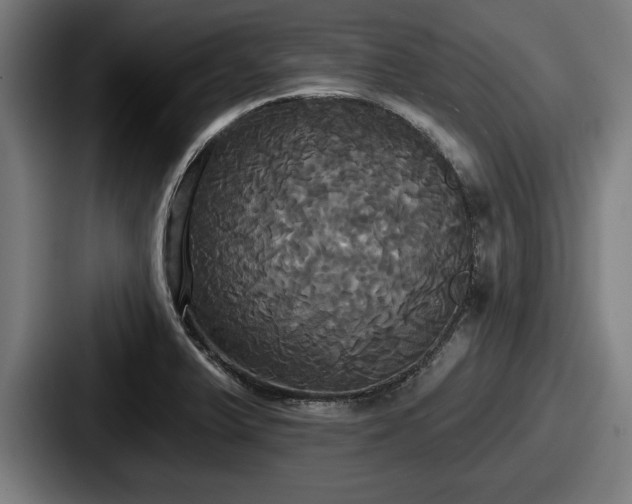X0000087701375200705111355