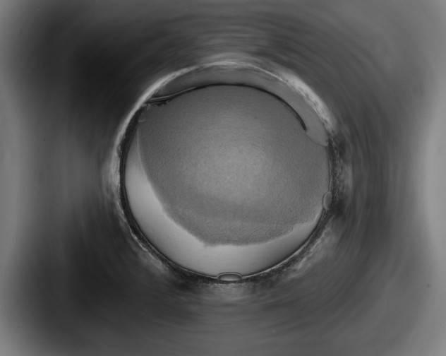 X0000087701376200705111355
