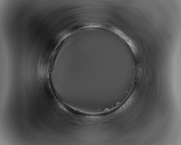 X0000087701377200705111355
