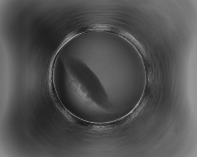 X0000087701378200705111355