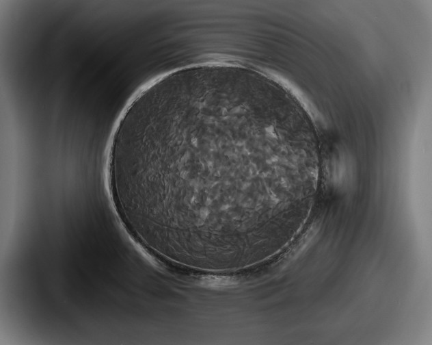X0000087701379200705111355