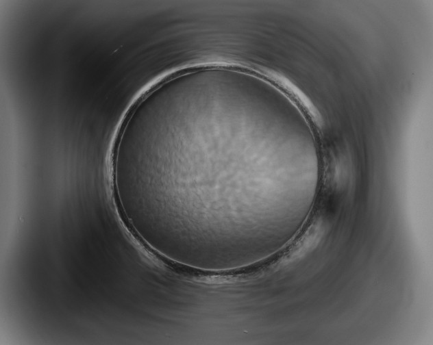 X0000087701380200705111355