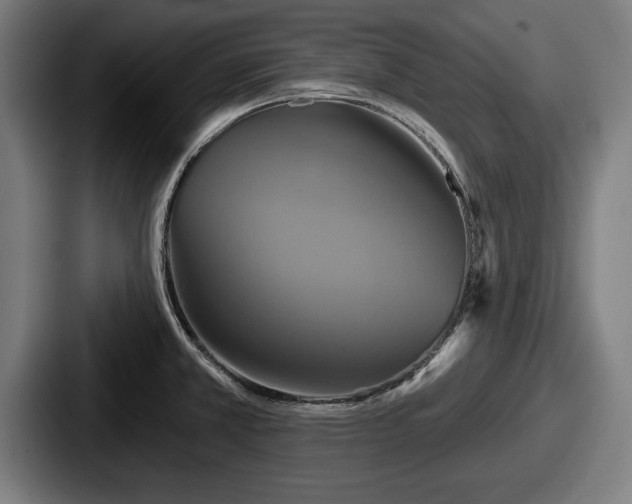 X0000087701381200705111355