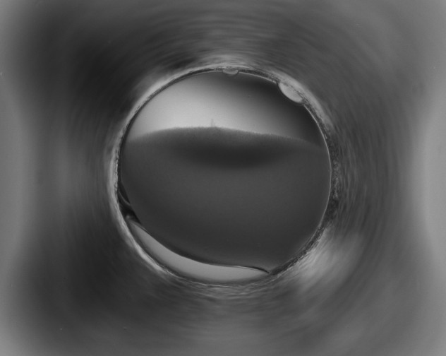 X0000087701383200705111355
