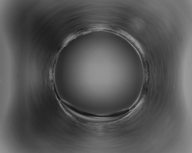 X0000087701385200705111355