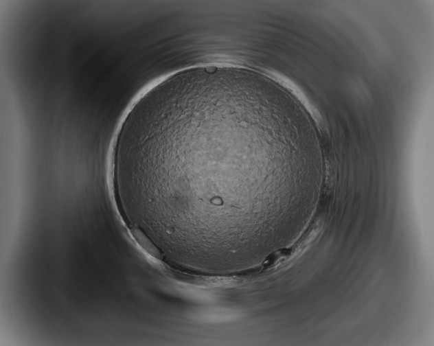X0000087701387200705111355