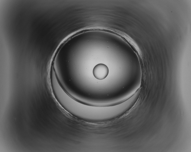 X0000087701388200705111355